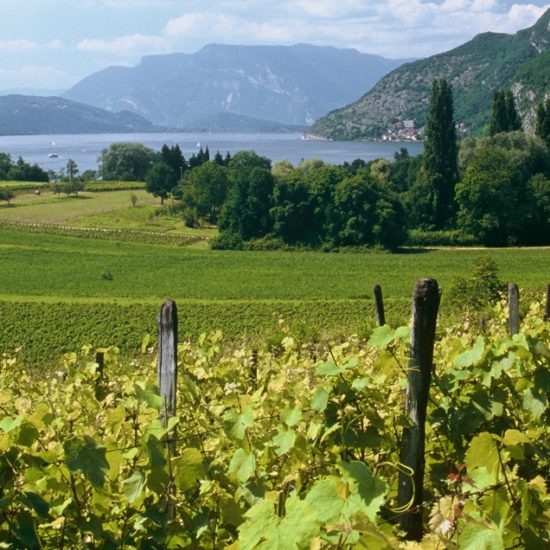 Rhône-Alpes e Côte d’Azur