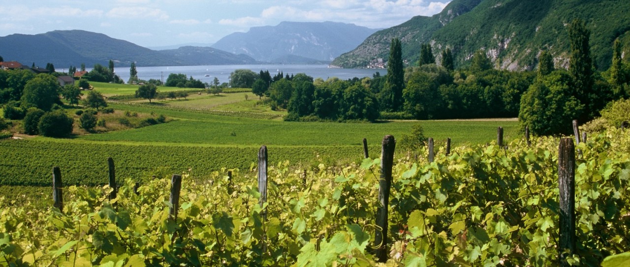 Rhône-Alpes e Côte d’Azur