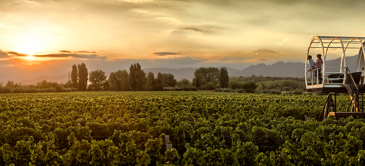 Vales de Mendoza – Entre Cielos