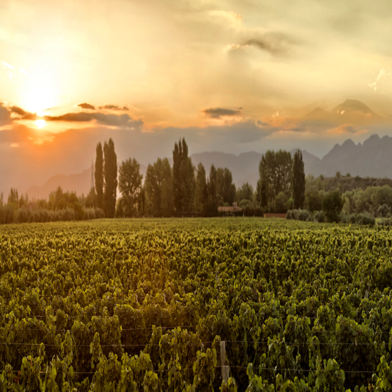 Vales de Mendoza – Entre Cielos