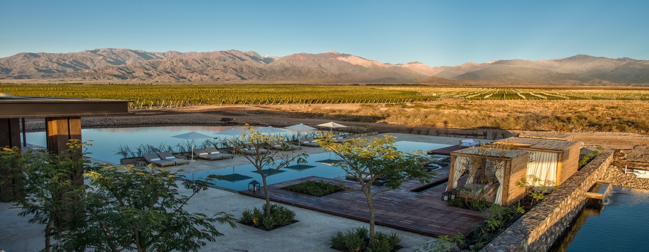 Vales de Mendoza – The Vines