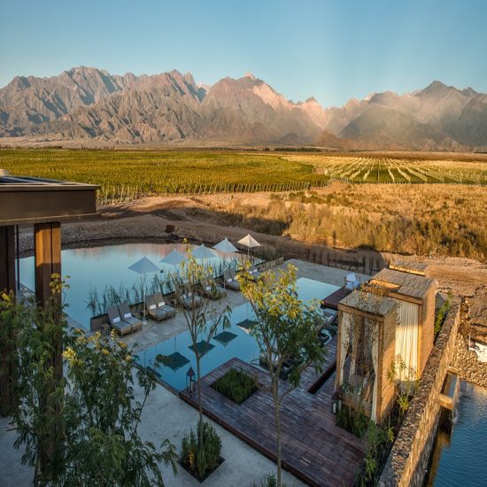 Vales de Mendoza – The Vines